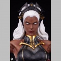 Storm 1/3 - Marvel Future Revolution