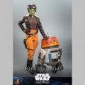 Hot Toys Hera Syndulla - Star Wars: Ahsoka