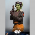 Hot Toys Hera Syndulla - Star Wars: Ahsoka