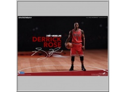 Derrick Rose Limited Retro Edition - NBA Collection