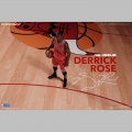 Derrick Rose Limited Retro Edition - NBA Collection