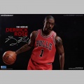 Derrick Rose Limited Retro Edition - NBA Collection