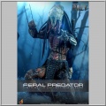 Hot Toys Feral Predator - Prey