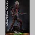 Hot Toys Feral Predator - Prey