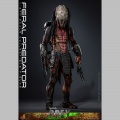 Hot Toys Feral Predator - Prey