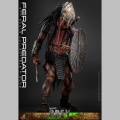 Hot Toys Feral Predator - Prey