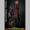 Hot Toys Feral Predator - Prey