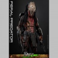 Hot Toys Feral Predator - Prey