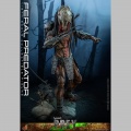 Hot Toys Feral Predator - Prey