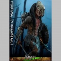 Hot Toys Feral Predator - Prey