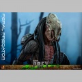 Hot Toys Feral Predator - Prey