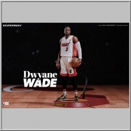 Dwyane Wade - NBA Collection