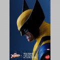 Wolverine 1/6 - Marvel (X-Men)