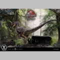 Prime 1 Studio Velociraptor Male - Jurassic Park III