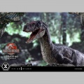 Prime 1 Studio Velociraptor Male - Jurassic Park III