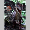Prime 1 Studio Velociraptor Male Bonus Version - Jurassic Park III