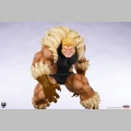 Sabretooth (Classic Edition) - Marvel Gamerverse Classics