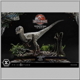 Prime 1 Studio Velociraptor Female - Jurassic Park III