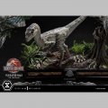 Prime 1 Studio Velociraptor Female Bonus Version - Jurassic Park III