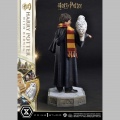 Prime 1 Studio Harry Potter with Hedwig - Harry Potter