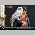 Prime 1 Studio Harry Potter with Hedwig - Harry Potter