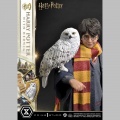 Prime 1 Studio Harry Potter with Hedwig - Harry Potter