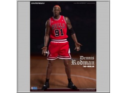 Dennis Rodman Limited Retro Edition - NBA Collection