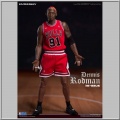 Dennis Rodman Limited Retro Edition - NBA Collection