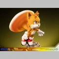 F4F Tails Standoff - Sonic the Hedgehog 2
