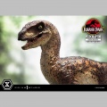 Prime 1 Studio Velociraptor Open Mouth - Jurassic Park