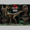 Prime 1 Studio Velociraptor Open Mouth - Jurassic Park