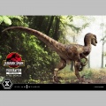 Prime 1 Studio Velociraptor Open Mouth - Jurassic Park