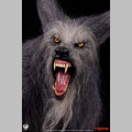 PCS 1/3 The Howling - Hurlements