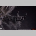 PCS 1/3 The Howling - Hurlements