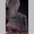 PCS 1/3 The Howling - Hurlements