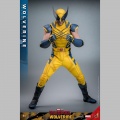 Hot Toys Wolverine - Deadpool & Wolverine