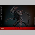 Hot Toys Scorched Xenomorph - Alien: Romulus