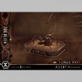 Prime 1 Studio 1/3 Dog Alien XL Deluxe Bonus Version - Alien 3
