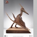 Toynami 1/5 Pteranodon Prop Replica - Jurassic Park III
