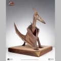 Toynami 1/5 Pteranodon Prop Replica - Jurassic Park III