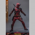 Hot Toys Deadpool (Battling Version) - Deadpool & Wolverine