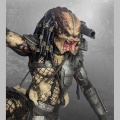 HCG Predator Jungle Hunter 1/4 - Predator