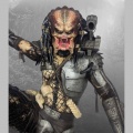 HCG Predator Jungle Hunter 1/4 - Predator