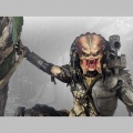 HCG Predator Jungle Hunter 1/4 - Predator