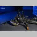 Neca Suspended Lab Xenomorph XX121 - Alien: Romulus