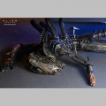 Neca Suspended Lab Xenomorph XX121 - Alien: Romulus