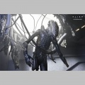Neca Suspended Lab Xenomorph XX121 - Alien: Romulus