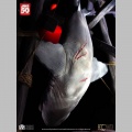 Elite Creature Collectibles 1/12 Jaws - Jaws