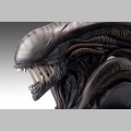 Bust 1/1 Xenomorph - Alien Romulus