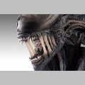 Bust 1/1 Xenomorph - Alien Romulus